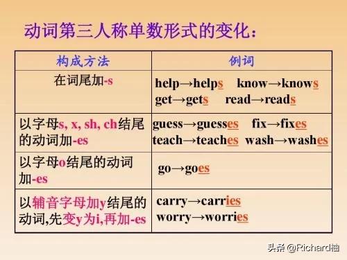 单数是什么(play的第三人称单数是什么)