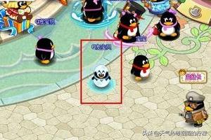 qq寵物怎么領養新寵物?qq寵物怎么領養新寵物2021!
