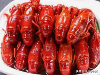 [大阪世博会细菌超标]生龙虾能放冰箱冷冻室储藏吗？