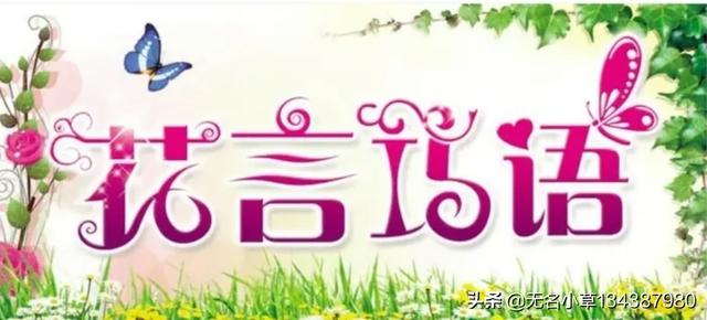 女人对付情敌聪明办法(图1)