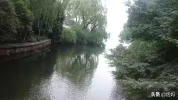 离婚以后_离婚以后 高干 耳东兔子txt