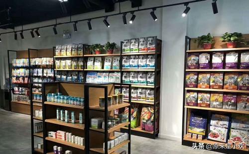 宠物店的经营范围有哪些,第2张