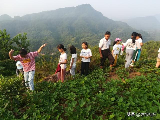 班级的集体活动有哪些