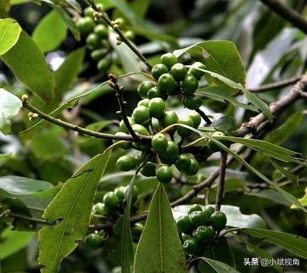 不愁销路的小工厂项目 厂房建设进度宣传文案？