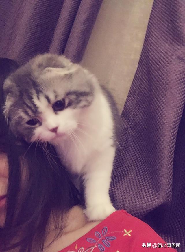 放肆宠溺（放肆宠溺结局是什么）