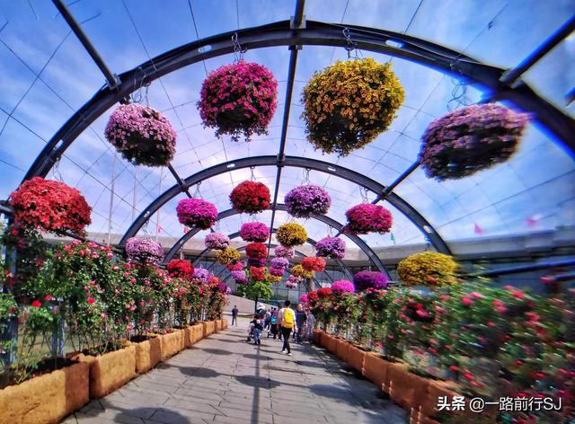 小庭院景观设计设计说明小庭院景观设计设计说明怎么写