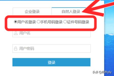 网络纳税新潮流，重庆市地方税务局网上申报引领先进模式，重庆市网上税务局申报流程