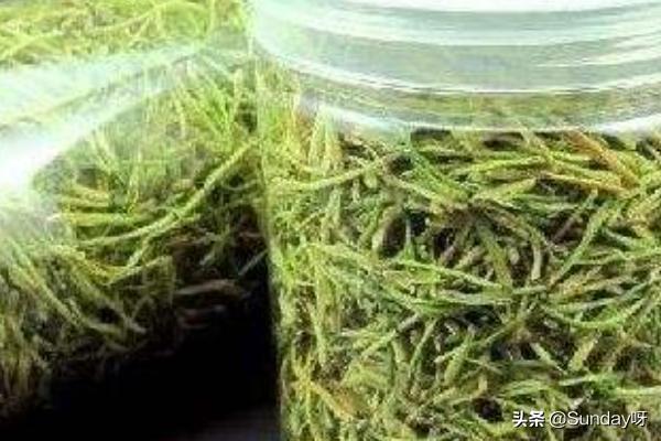 自制金银花怎么吃最好(图8)