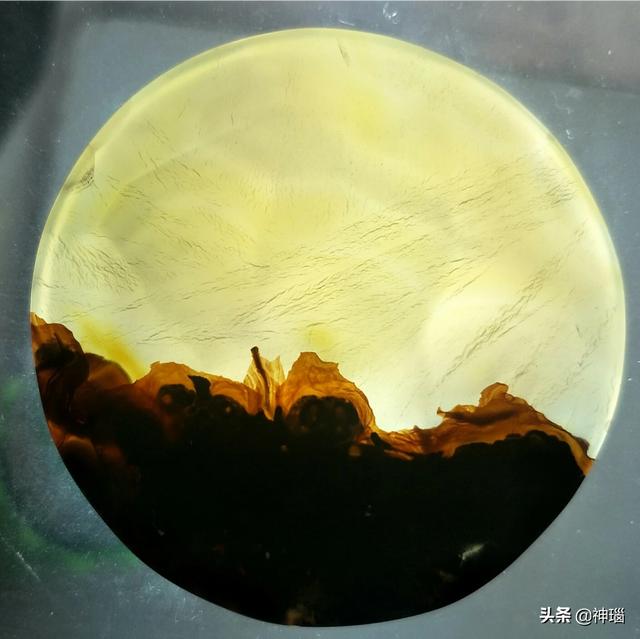 江西发现最小恐龙蛋的地方