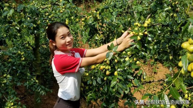 九月粮食价格预测最新，九月粮食价格预测最新消息