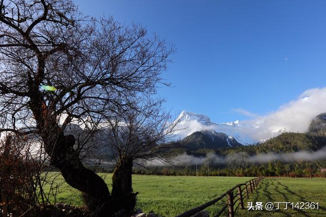 美术app开发前景