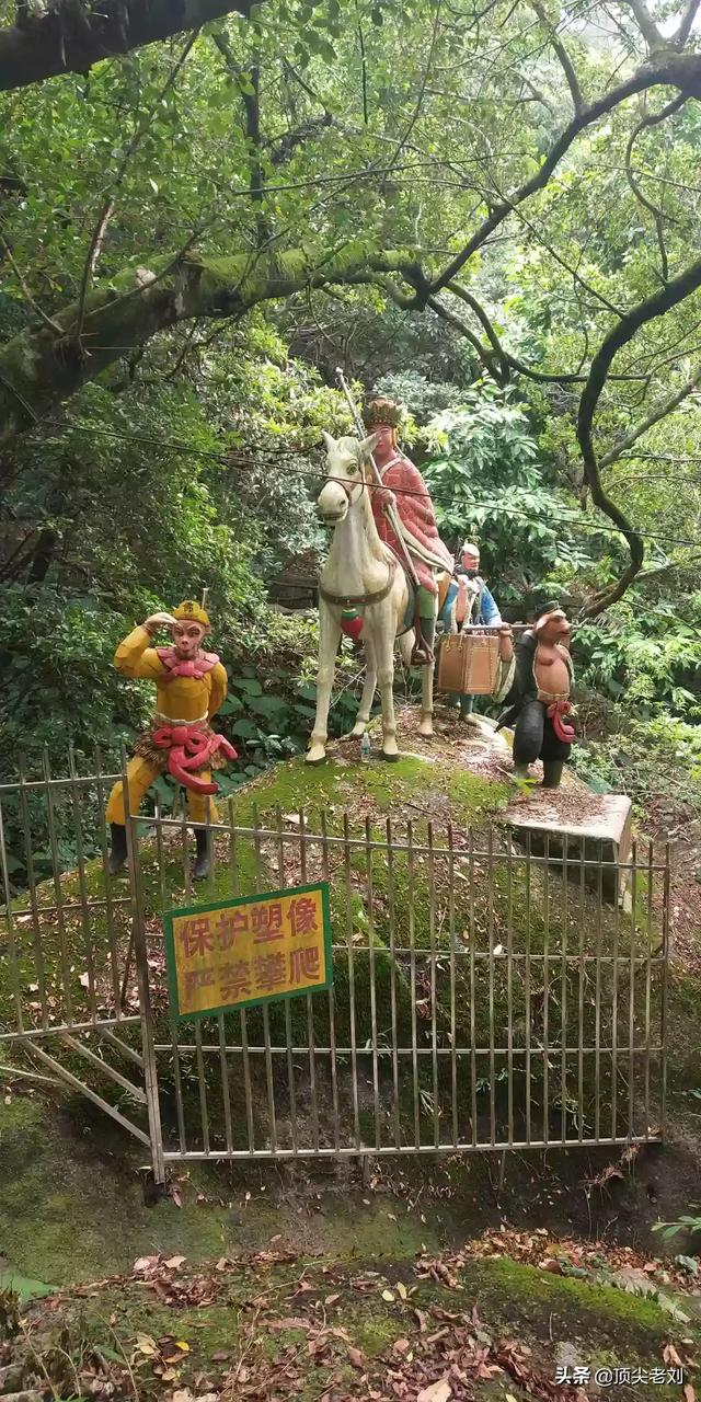 篮球的真正魅力在哪里,第1张