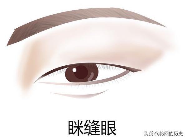 [眼神图片]眼睛类型及图片及解说，常见眼型？