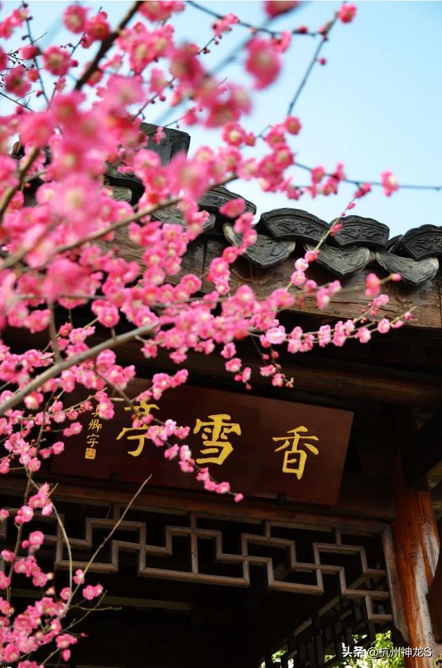 杭州西湖旅游团一日游-杭州西湖旅游团一日游价格