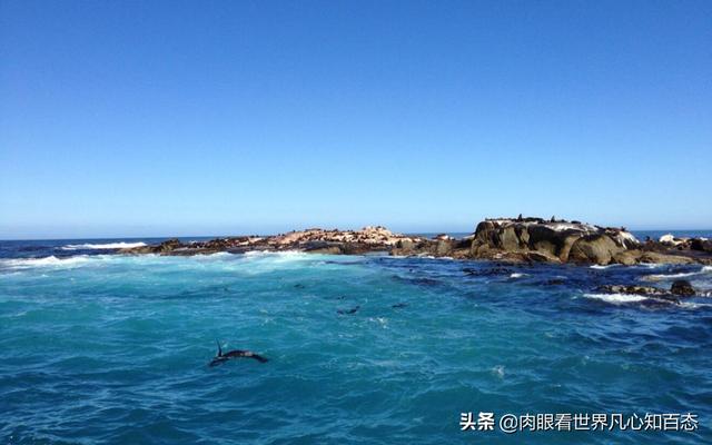开普敦桌山景点门票价格， 开普敦桌山图片