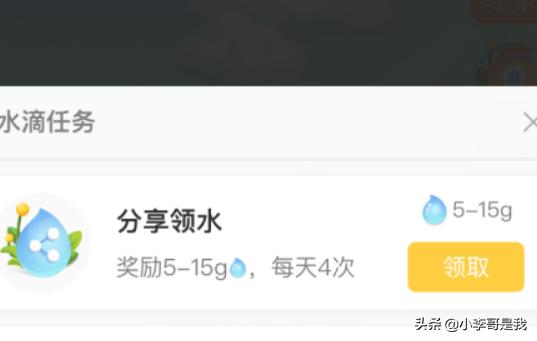拼多多果园怎么种水果树？：图种怎么打开