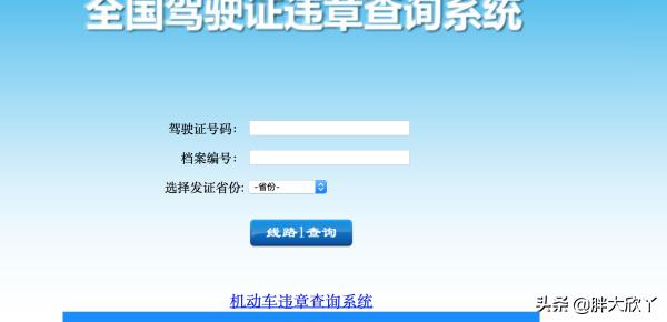 个人驾驶证信息查询网，个人驾驶证信息查询网官网入口