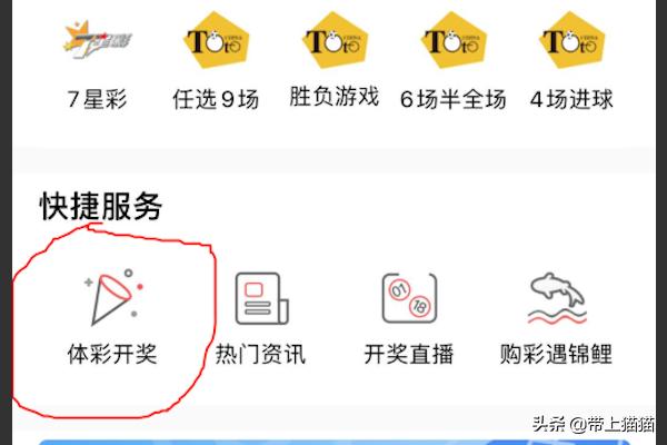 手机上怎么查我的意外保险，手机上怎么查我的意外保险保单