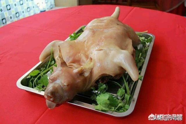 對養寵物的看法?對養寵物的看法英文!