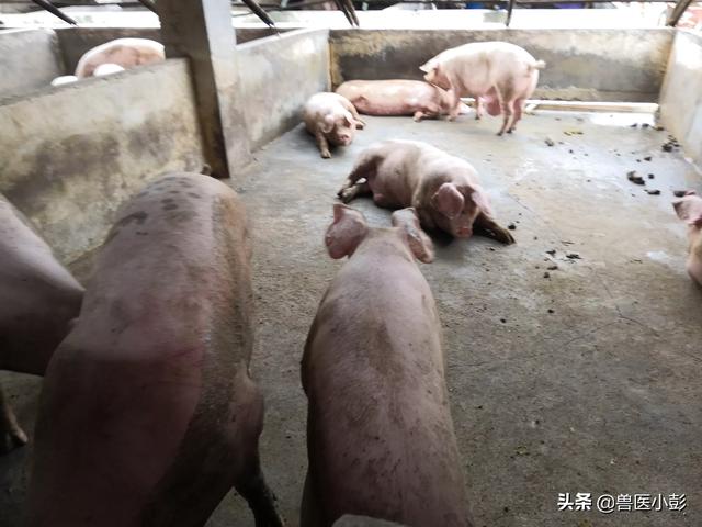 大自然饲料论坛-大自然饲料论坛官网