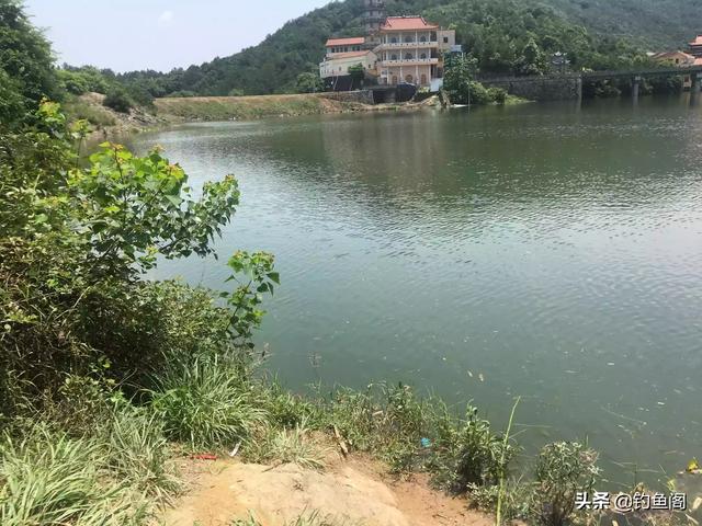 草鱼玉米如何搭配做馅儿(图2)