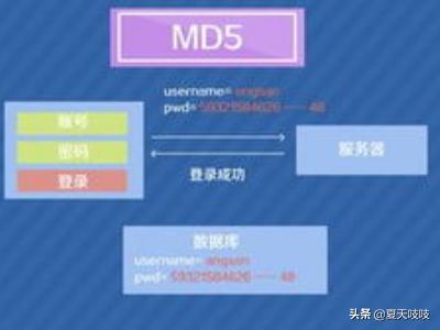 md5效验工具-md5校验工具安卓