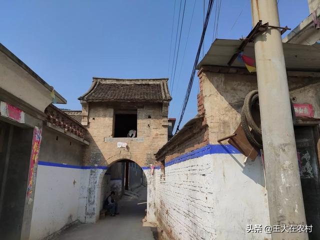 吉林梨树县生猪价格-吉林梨树县生猪价格表最新
