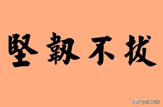 坚什么什么什么(坚什么什么什么成语大全四个字)