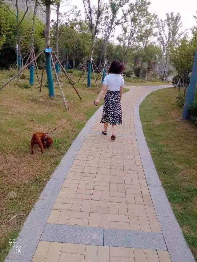 抱寵物拍照姿勢?抱寵物拍照姿勢圖片!
