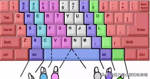打字姿势手位，打字手在键盘上正确放置的位置