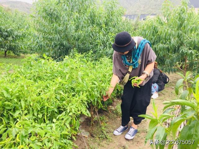 草原旅游宝宝穿搭， 草原旅游宝宝穿搭图片