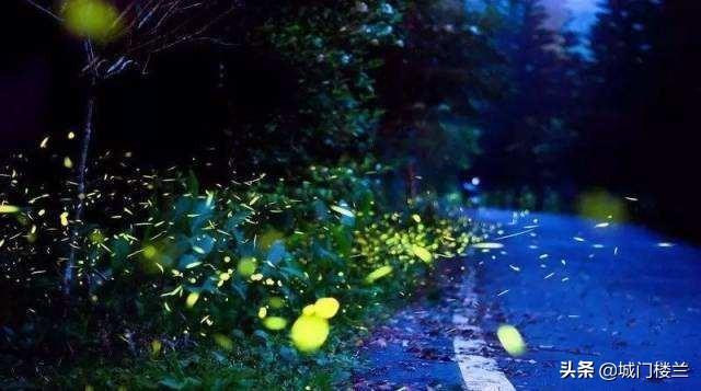 萤火虫在发光的同时也在发热吗 萤火虫也会发光-第1张图片-随然AIR主题