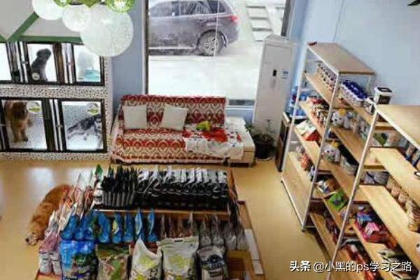 寵物店服務項目?寵物店服務項目都有哪些!