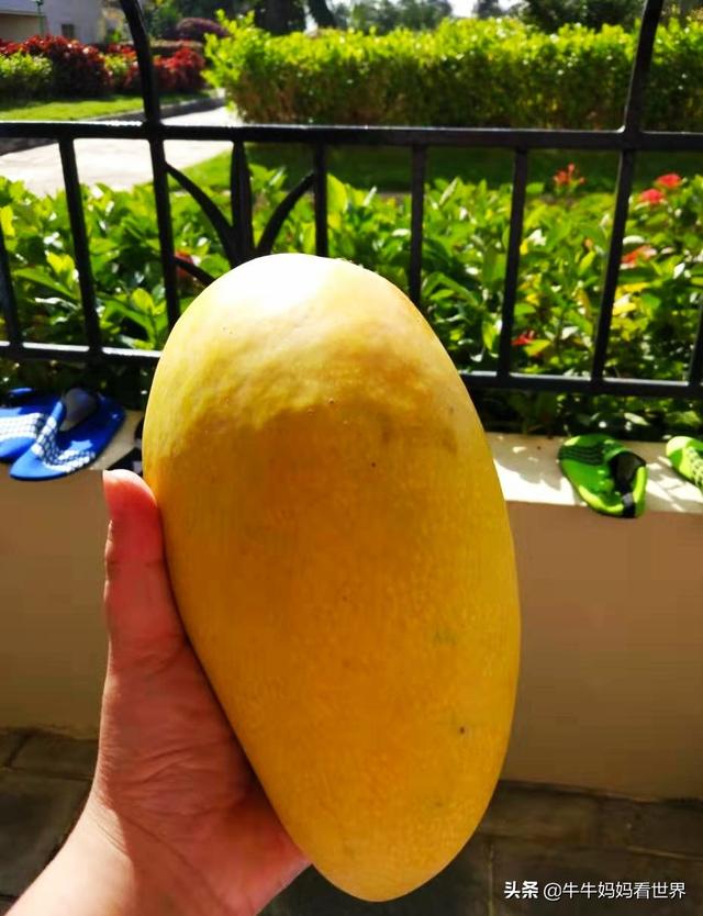 海南5个必去的景点名字(图4)