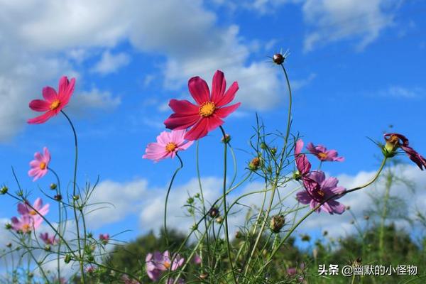 光电二极管检测电路