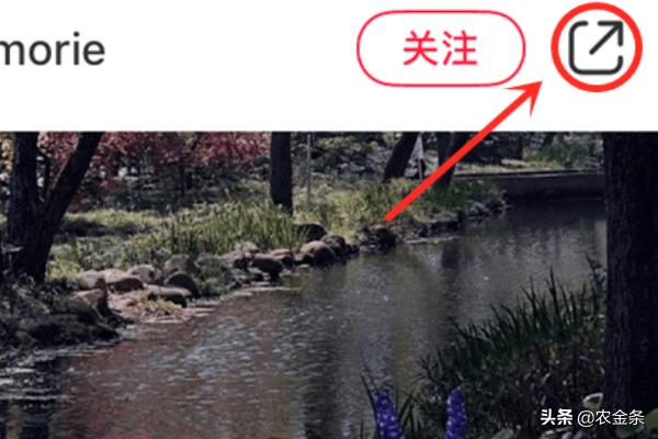 小红书怎么去水印（小红书怎么去除水印？）