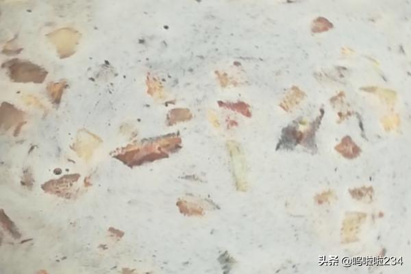 粉条的做法-粉条的做法大全家常