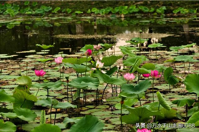 小型泥浆泵（小型泥浆泵多少钱一台）