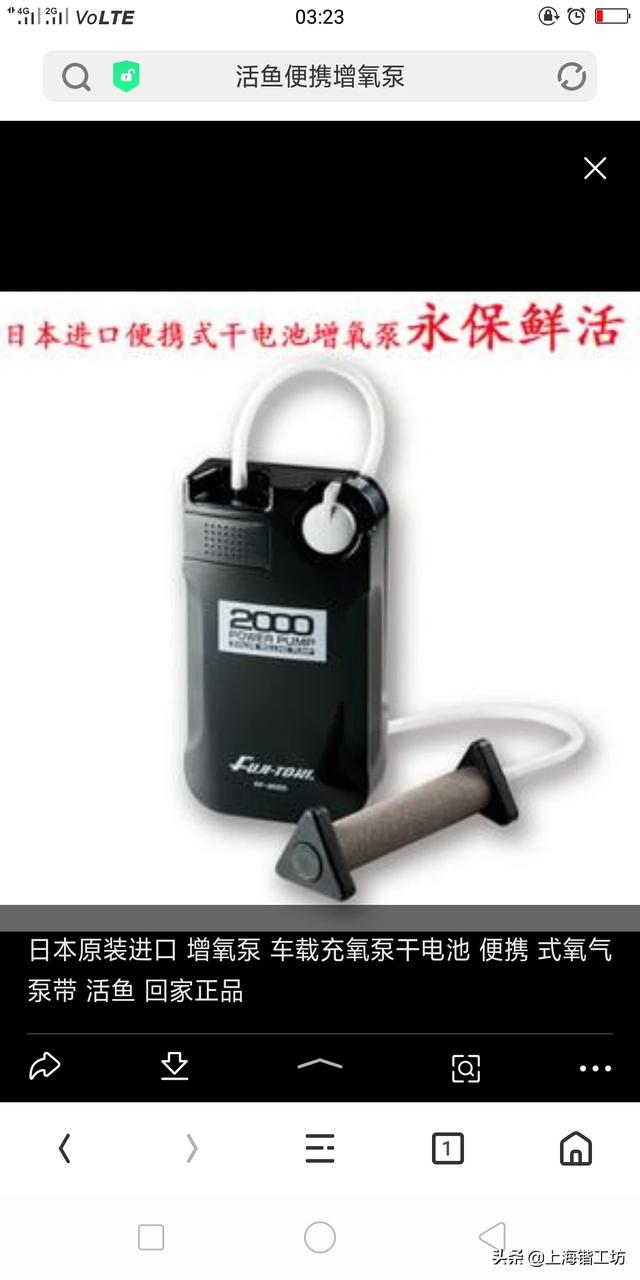 夏天怎么钓鱼不会被鱼吃(图2)