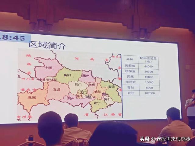 饲料存量最高多少-饲料存量最高多少吨
