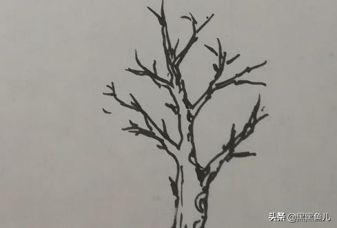 花卉图片手绘简笔画 绿化大树-花卉图片手绘简笔画 绿化大树图