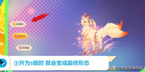 三角梅狐狸尾巴哪个颜色好看？：英雄联盟 阿狸壁纸