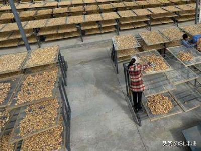 免费加盟办厂可靠吗 推荐几个在家可开什么小型加工厂赚钱项目？