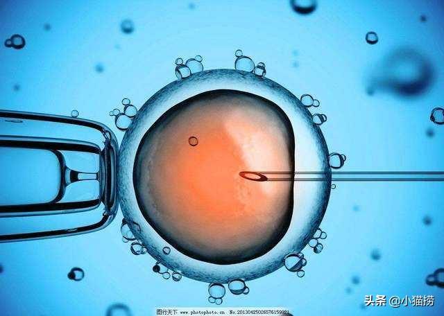 女人做试管会影响寿命(图1)