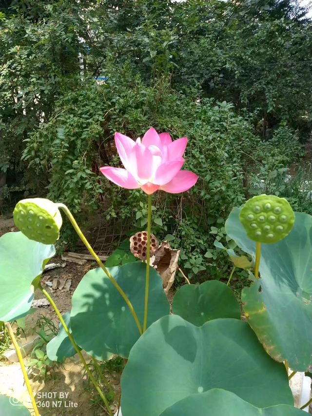 [独钓寒江雪图片]玉雕独钓寒江雪赏析？