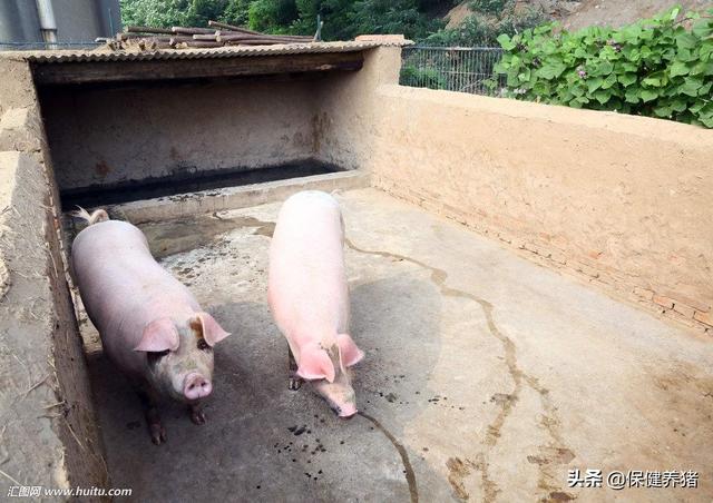 卖饲料和兽药那个好些-兽药和饲料哪个好卖