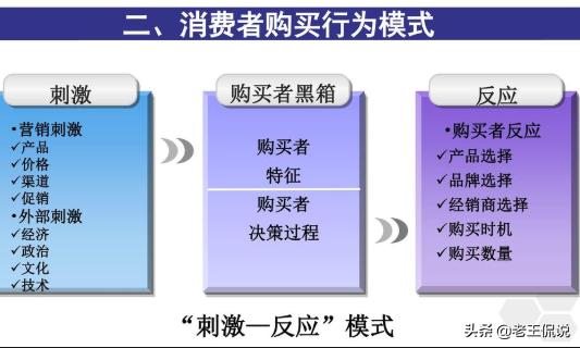 大学生购买行为特点及影响因素分析 国内研究综述