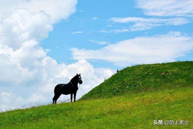 钟山区旅游景点大全野鸡评， 