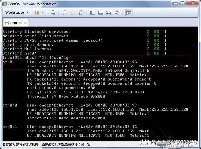 centos linux 搭建网站