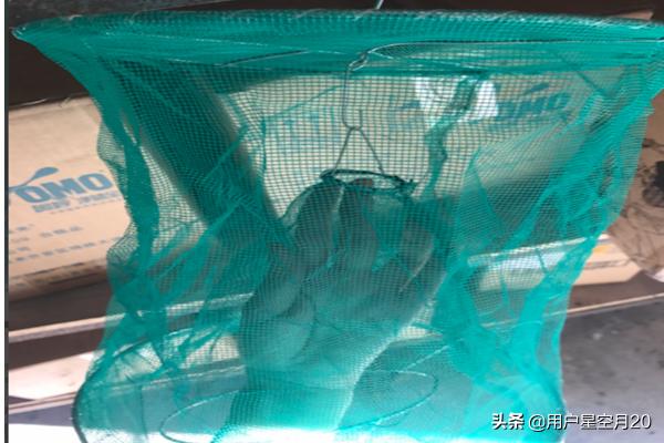 悬挂式捕蝇笼放置技巧,第3张